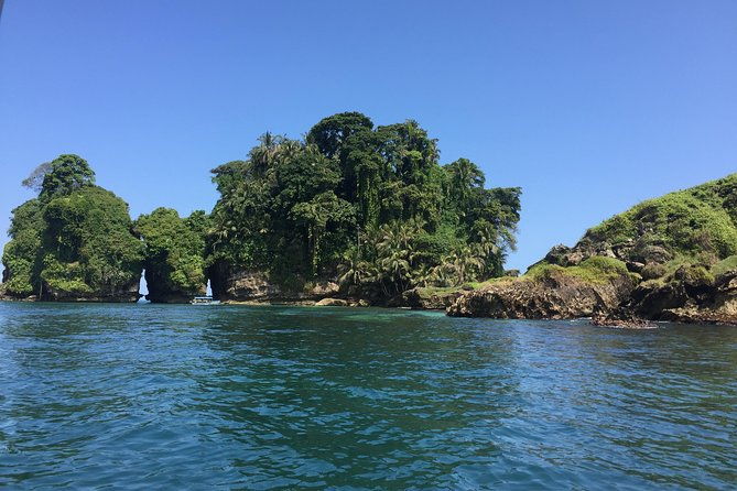 speed-boat-tour-to-mangrove-point-starfish-beach-bocas-del-drago-and-birds-island