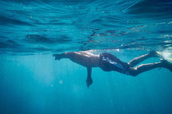 spider-island-tour-snorkeling-and-bioluminescence-from-tambor