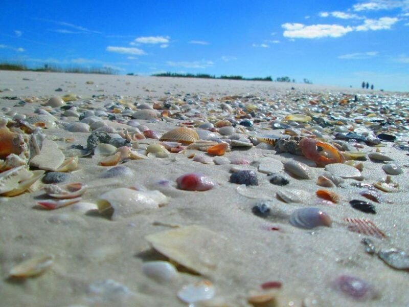st-petersburg-florida-private-4-hour-beach-tour