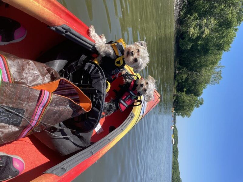 starved-rock-state-park-guided-kayaking-tour