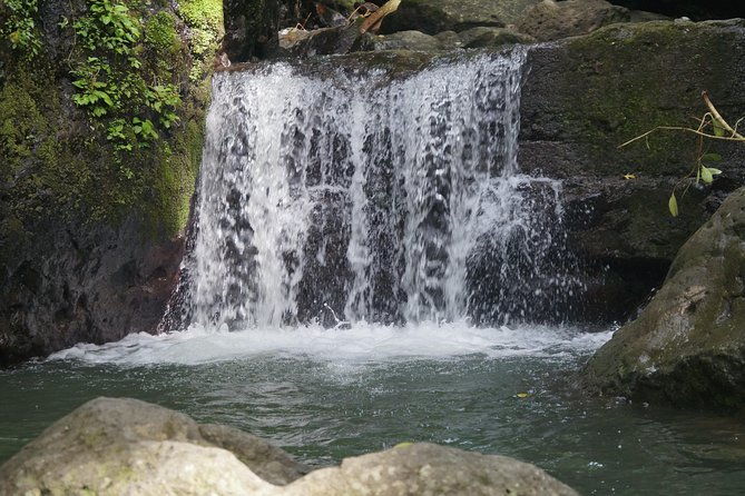 stopover-in-panama-6-days-nature-in-panama