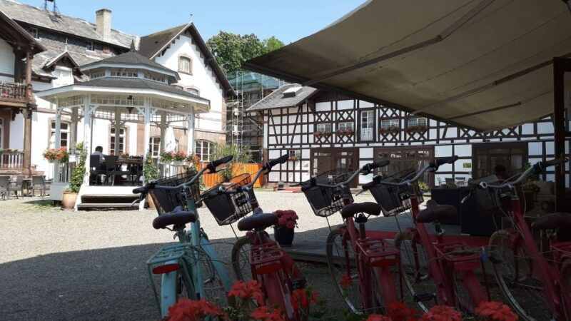 strasbourg-1-day-bike-rental