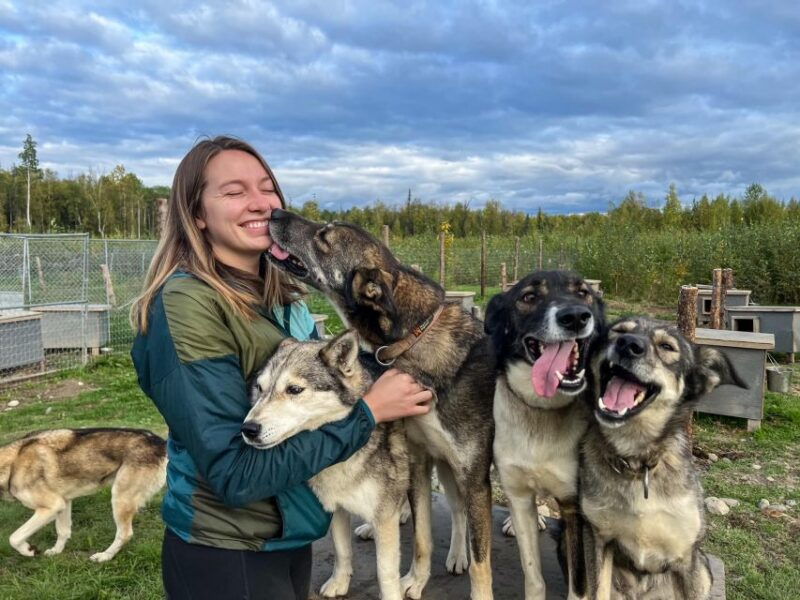 summer-sled-dog-kennel-tour