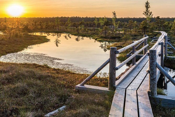 sunrise-tour-to-great-kemeri-bog