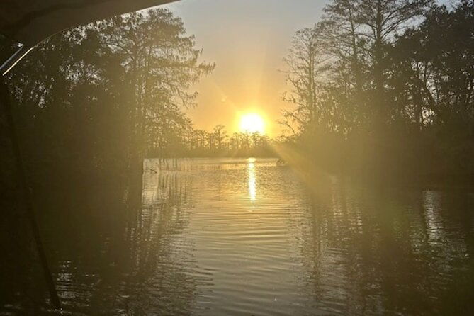 swamp-eco-cruise-and-walking-tour