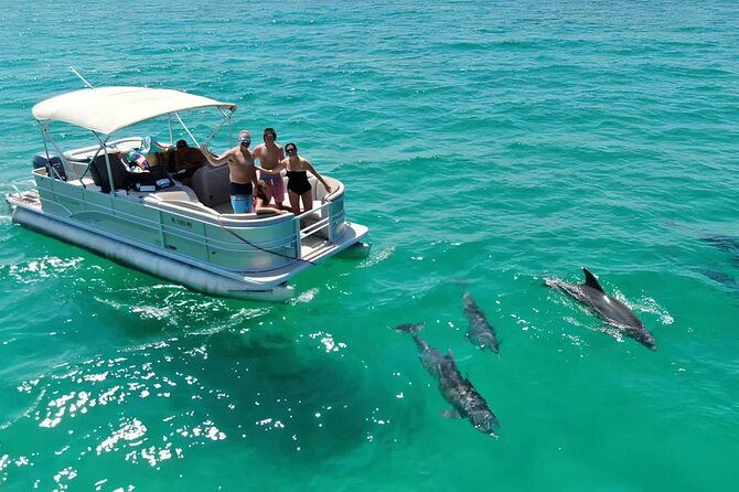 swimming-in-a-dolphin-and-manatee-lagoon-boat-tour
