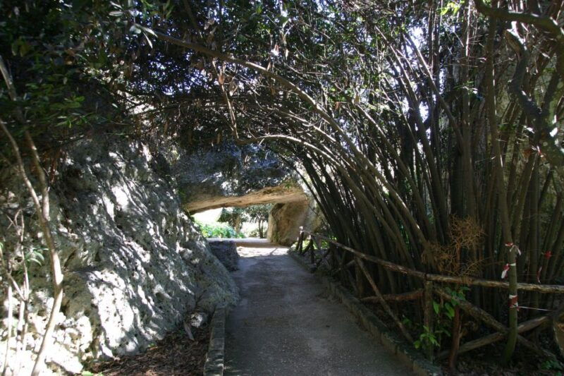 syracuse-neapolis-archaeological-park-small-group-tour