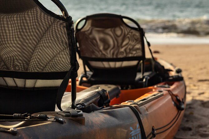 tamarindo-estuary-kayak-monkey-tour