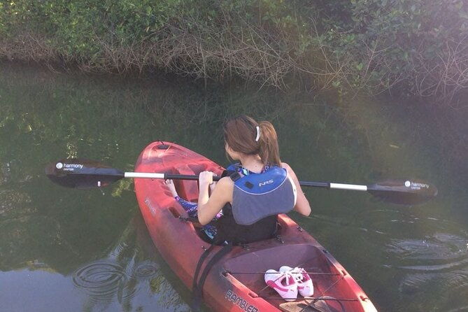 tamarindo-river-guided-kayak-mangrove-environment-watching-tour-in-guanacaste