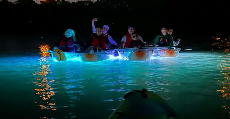 tampa-clear-glowing-kayak-nighttime-tour