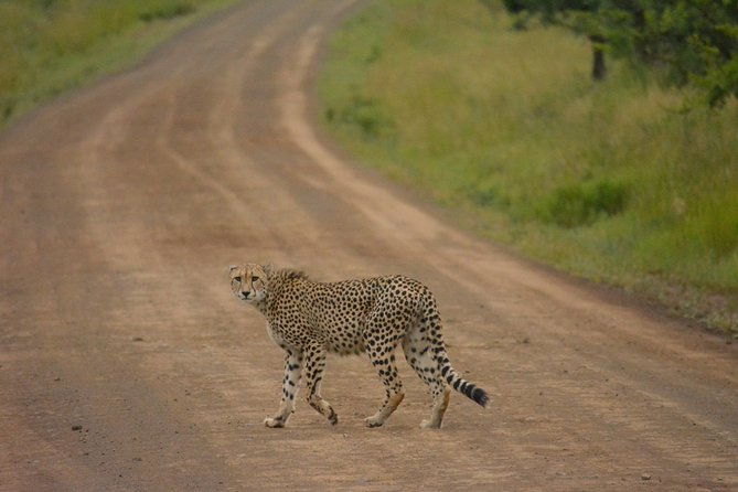 tanzania-safari-1-day-arusha-national-park-visit