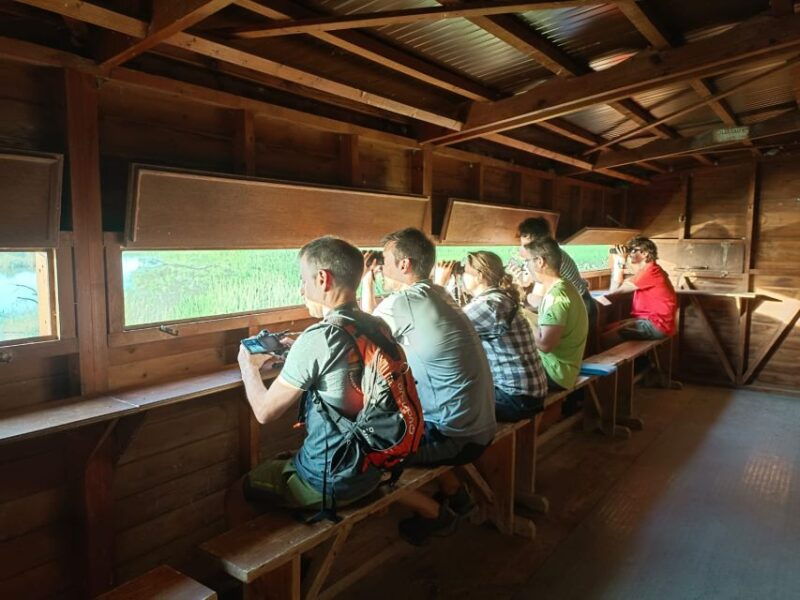 tarragona-southern-delta-birdwatching-private-tour