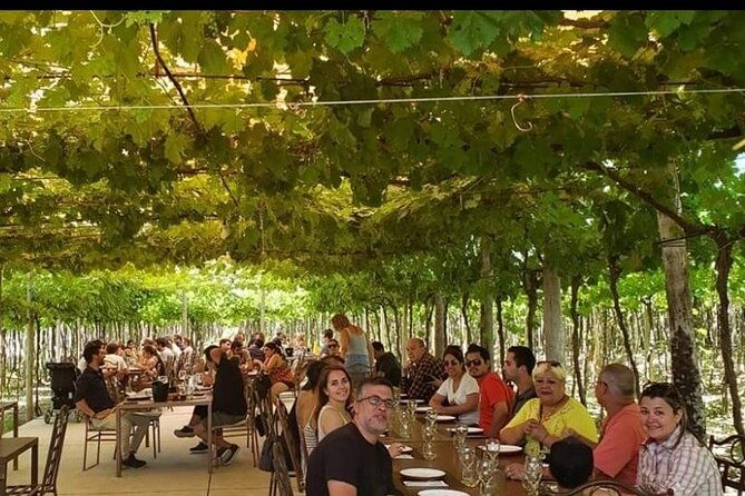taste-routes-wines-and-oils-of-mendoza
