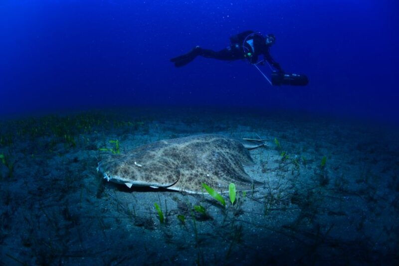tenerife-diving-w-underwater-scooter-dpv
