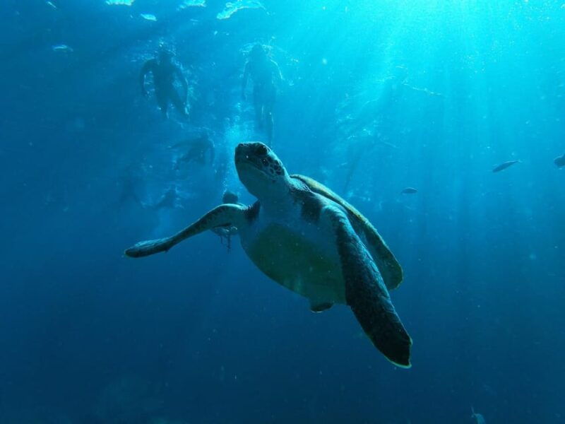 tenerife-double-kayak-rental-for-1-5-hours-in-palm-mar