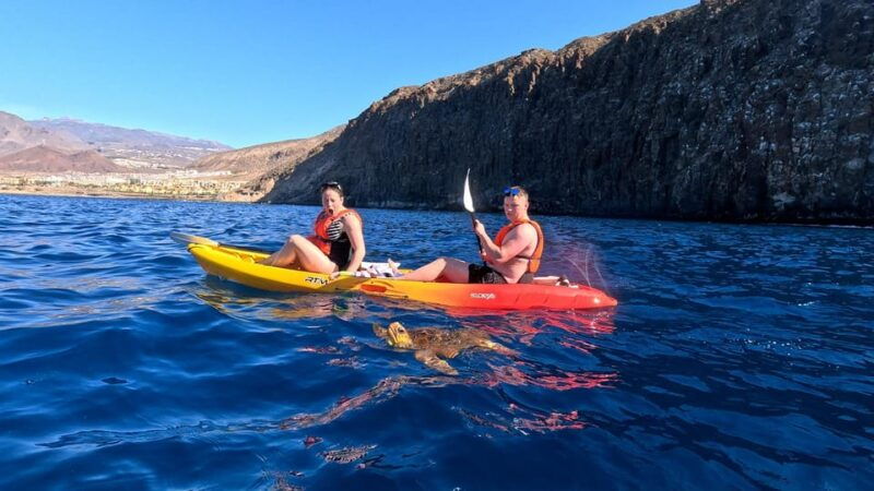 tenerife-kayak-snorkeling-tour-small-groups