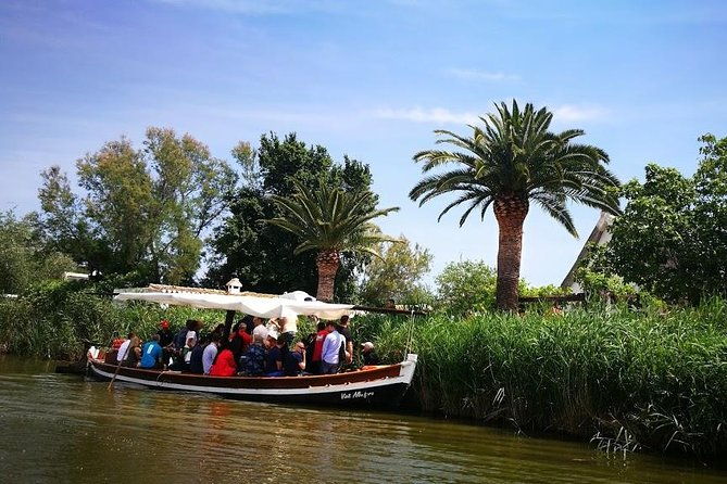 the-albufera-natural-park-private-tour-from-valencia-with-transport