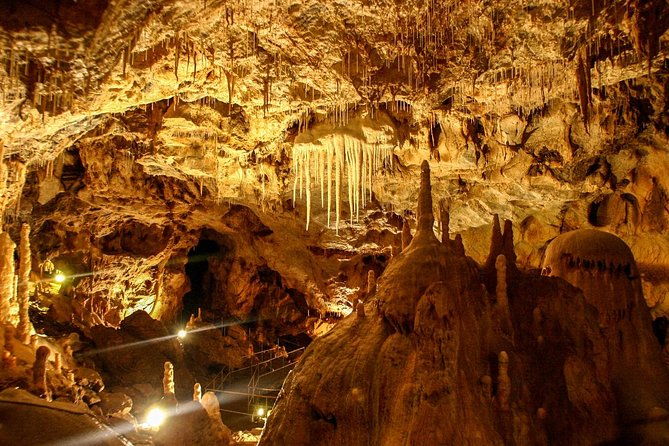 the-bears-cave-one-day-air-conditioned-car-tour-from-oradea
