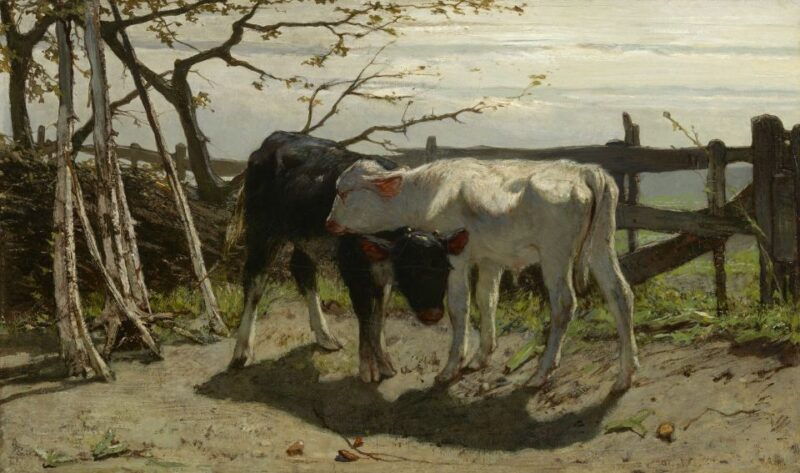 the-hague-mesdag-collection-entry-ticket