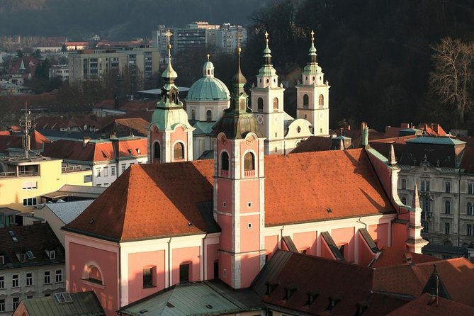 the-ljubljanas-cathedral-tour-st-nicolas-church