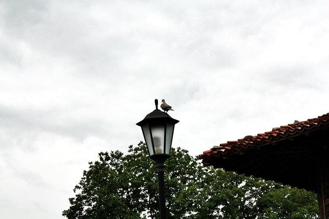 the-ultimate-private-zheravna-walking-tour