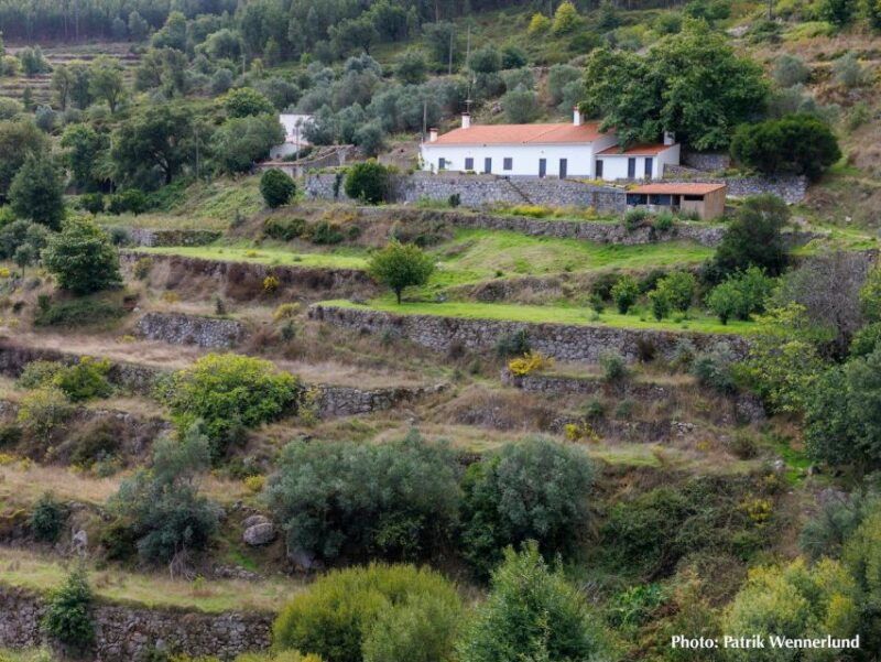 the-western-wild-algarve-with-a-luxury-picnic-and-extra-wow