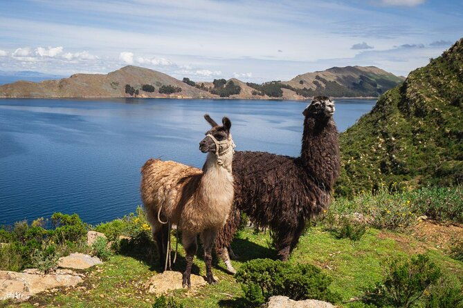 titicaca-lake-sun-island-2-days-tour-english-speaking-guide