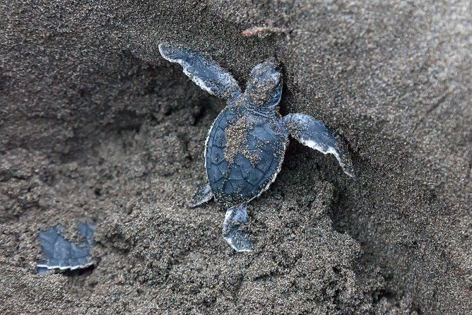 tortuguero-park-3-days-vacation-package