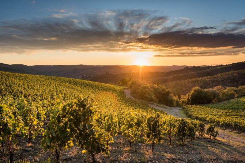 total-immersion-wine-tour-in-chianti