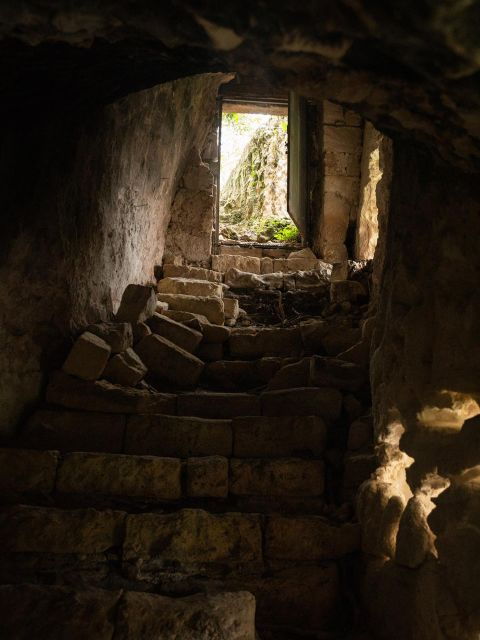 tour-among-the-temples-of-oil-and-the-patriarch-olive-trees