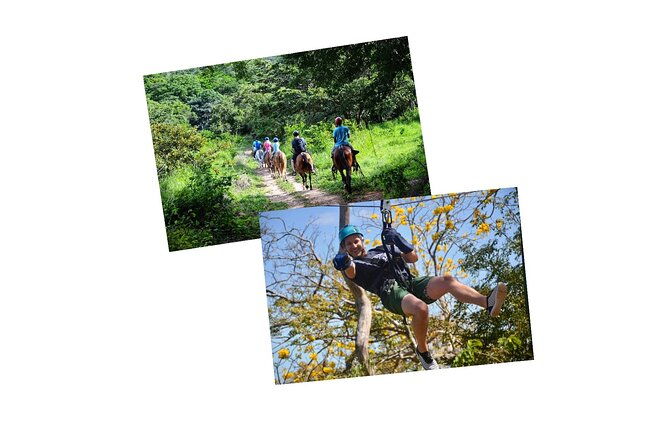 tour-combo-wrct-adventures-private-zipline-horseback-ride