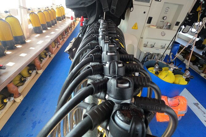 tour-in-alanya-with-lunch-and-guided-scuba-dives-from-side