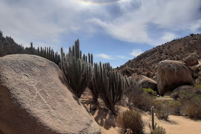 tour-to-valle-del-encanto-archeology-petroglyphs-flora-fauna-and-springs