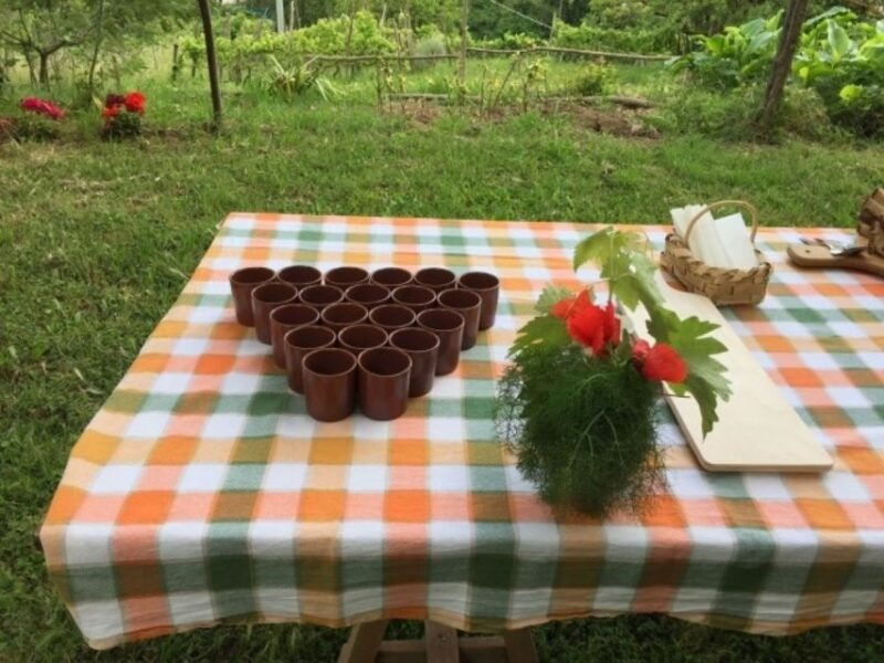 tramonti-re-fiascone-experience-1-hour-food-wine-tasting