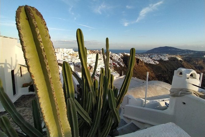 transfer-from-oia-to-fira-and-airport