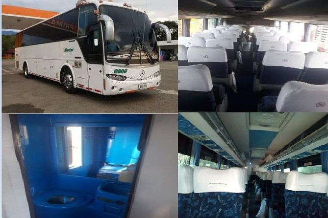 transportation-services-in-buses-and-van-of-various-quotas-full-availability