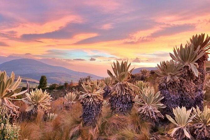 traversing-ecuadors-icons-and-hidden-gems