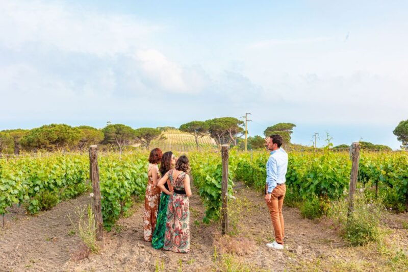 tuscany-ripalte-design-winery-wine-and-cheese-tasting-tour