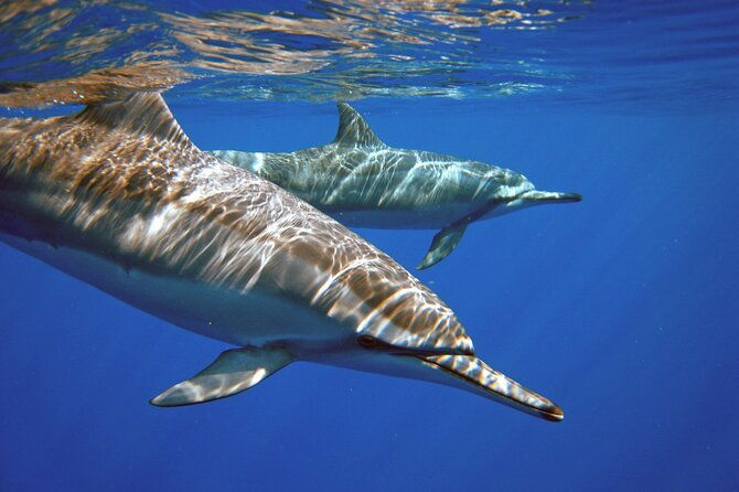 two-tank-morning-scuba-dive