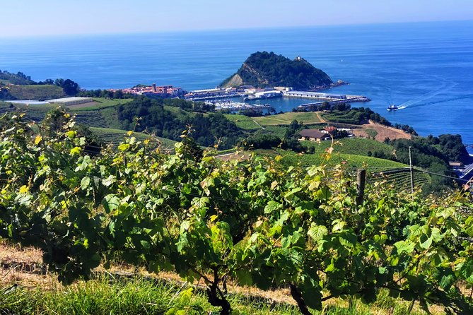 txakoli-vineyards-hike-zumaia-and-getaria-private-outdoor-gastronomic-tour