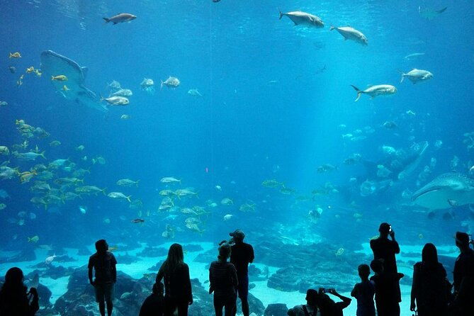 ultimate-atlanta-walking-tour-and-activities
