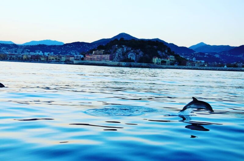unforgettable-boat-excursion