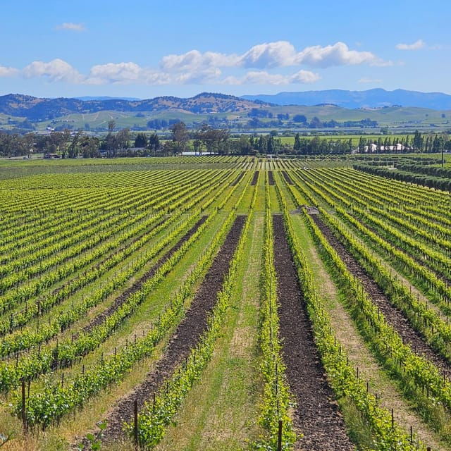 usa-california-napa-private-wine-tour-for-up-to-6-guests