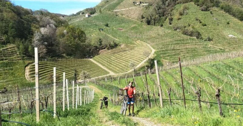 valdobbiadene-prosecco-hills-cycling-with-sommelier