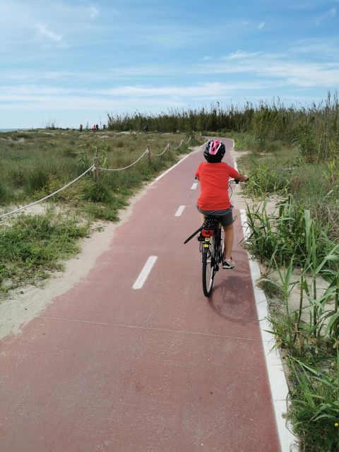 valencia-albufera-natural-park-bike-and-boat-tour
