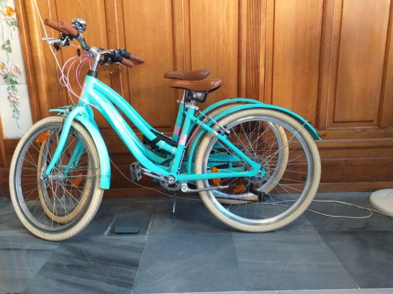 valencia-bike-rental-for-1-to-4-days