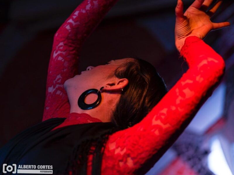 valencia-flamenco-at-toro-y-la-luna-with-drinks-or-dinner