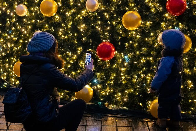 viennas-christmas-market-magic-tour