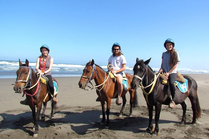vina-del-mar-and-valparaiso-private-tour-including-horseriding