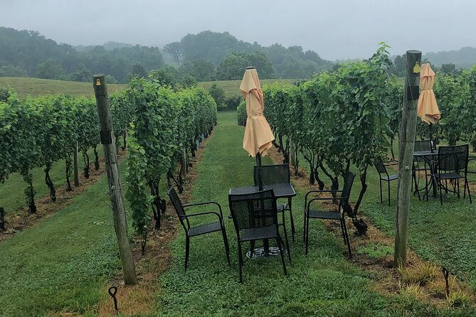 virginia-winery-excursion-by-luxury-vehicle-2-wineries